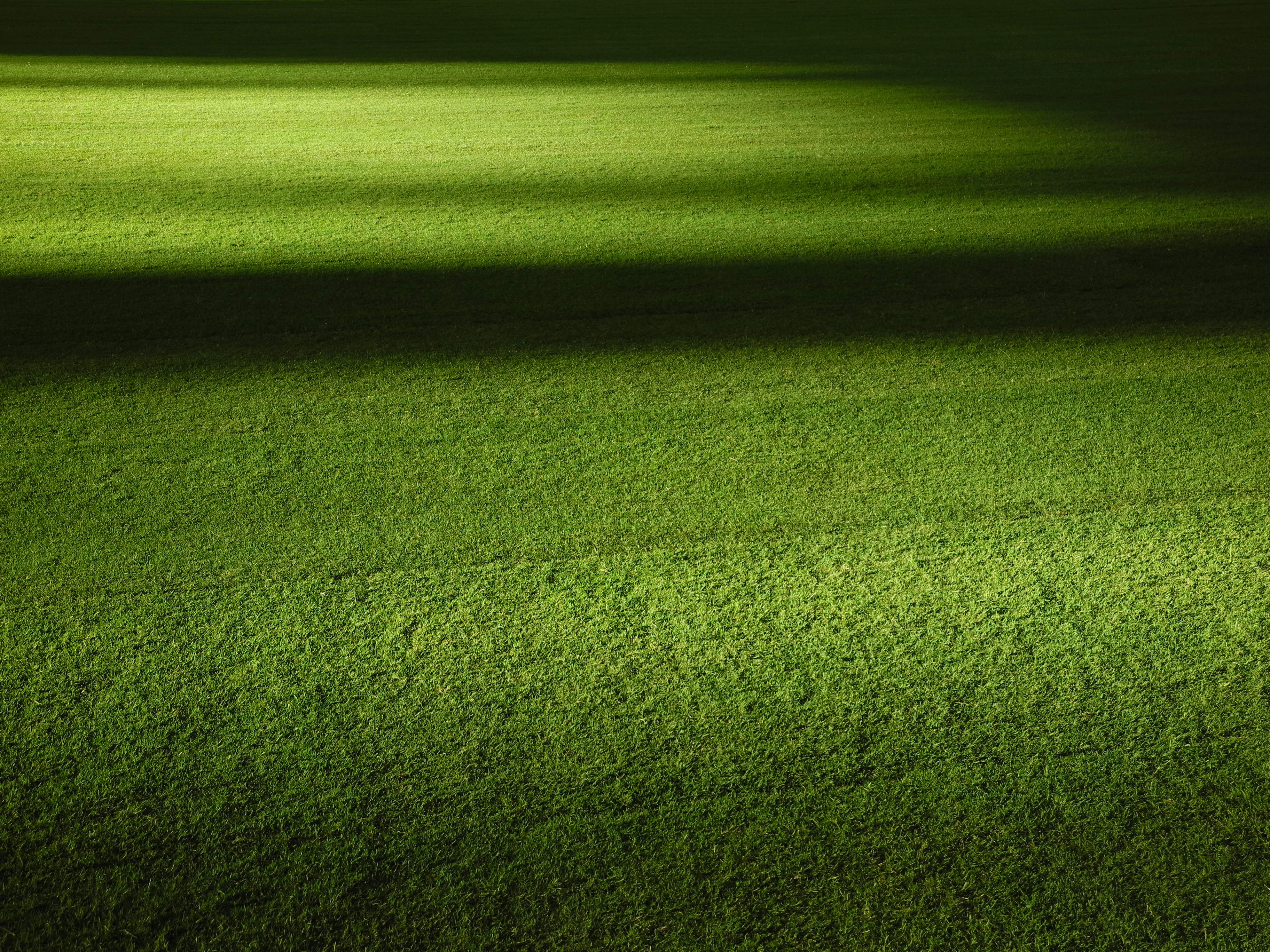 ARTIFICIAL GRASS