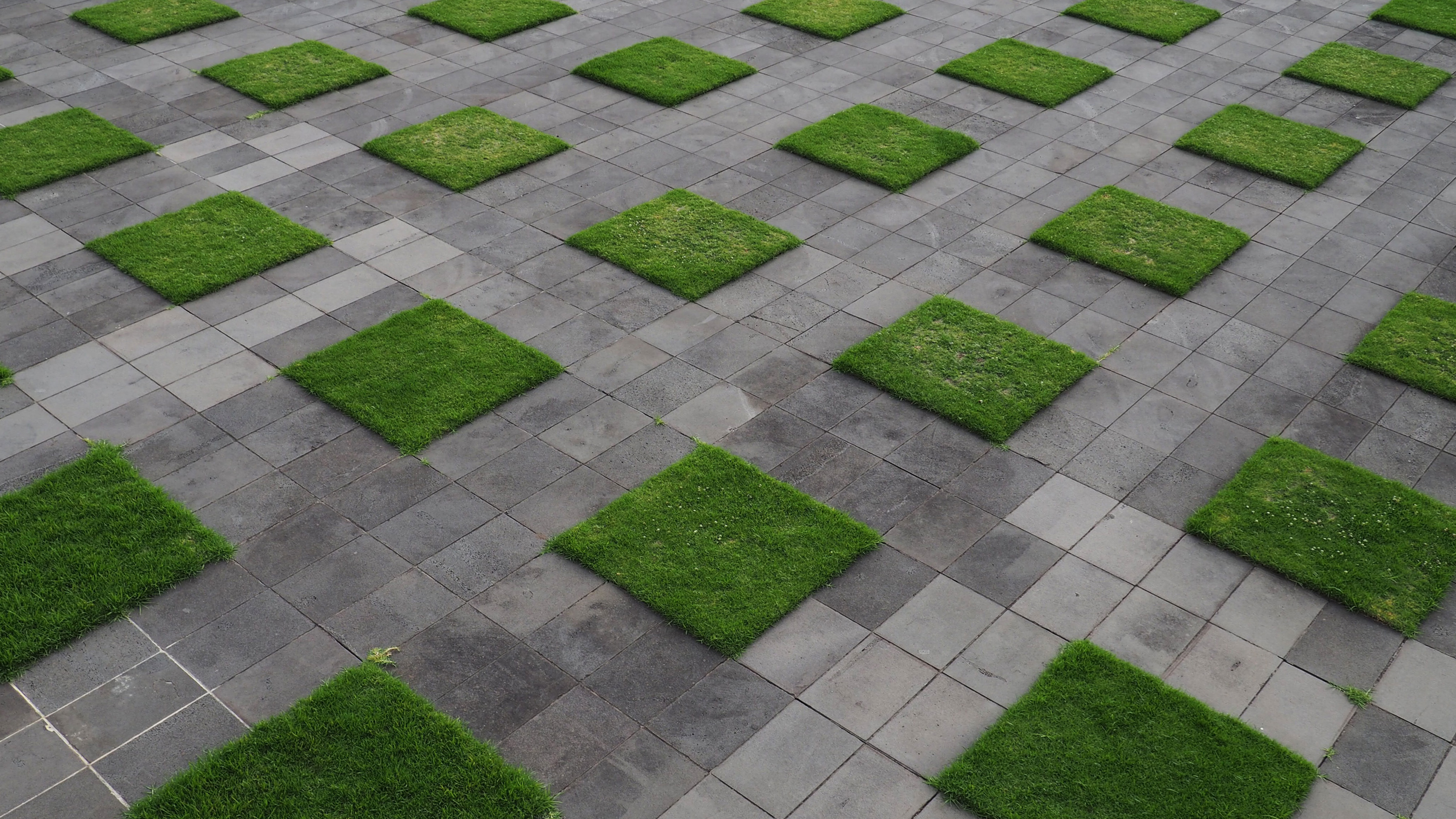 ARTIFICIAL GRASS