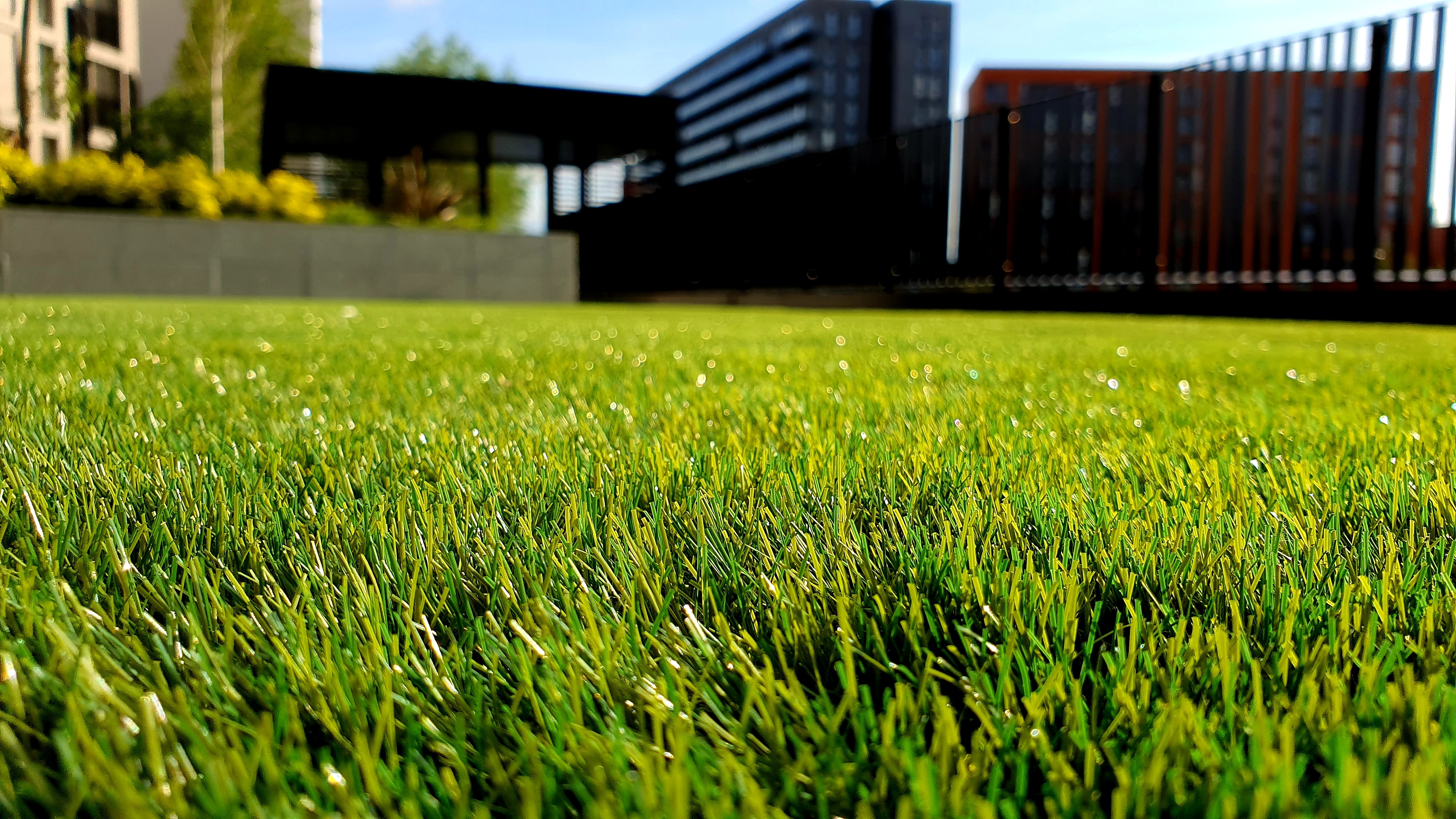 ARTIFICIAL GRASS