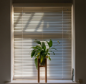 VENETIAN BLINDS